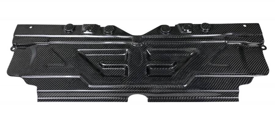 Armaspeed CARBON Slam Panel