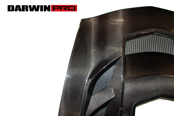 DarwinPro FRP BASE W/ CARBON (1 SIDED) Hood with glass