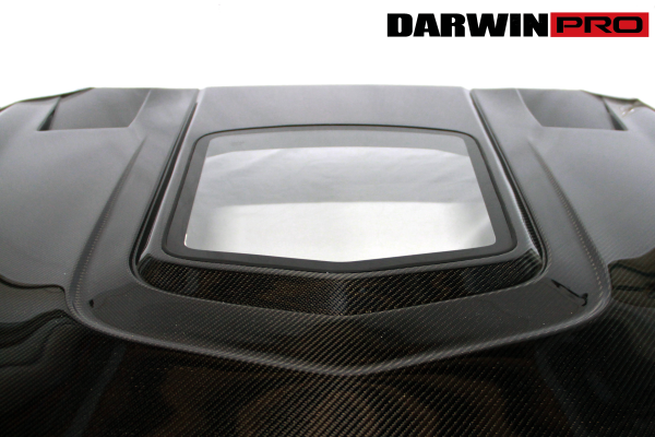 DarwinPro FRP BASE W/ CARBON (1 SIDED) Hood with glass